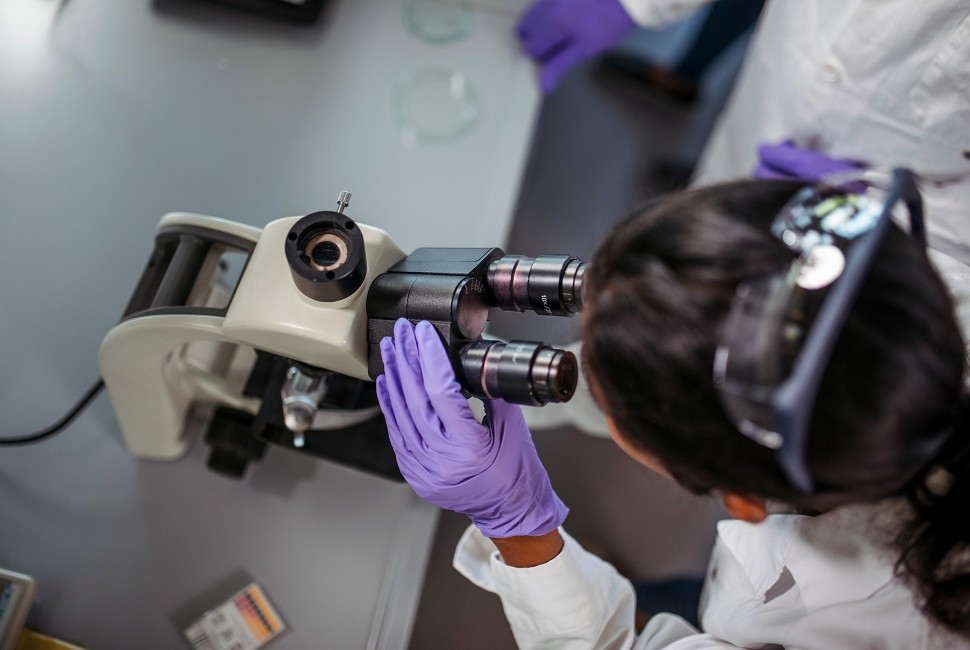 Scientist looking into a microscope